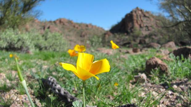 Tucson weather: Warming back up